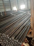 午夜性视频在线价格预测